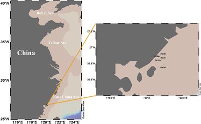 The Notorious Harmful Algal Blooms-Forming Dinoflagellate Prorocentrum donghaiense Produces Sexual Resting Cysts, Which Widely Distribute Along the Coastal Marine Sediment of China